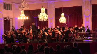 Lv BEETHOVEN Symphonie Nr 1 in CDur op 21 I Adagio molto  Allegro con brio [upl. by Ilario]