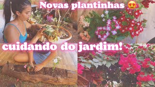 MUITAS MUDANÇAS NO JARDIM🪴 ➕comprei plantasestá ficando lindo😍 [upl. by Unders]