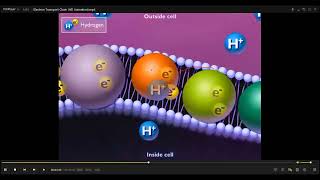 L39 OXIDATIVE PHOSPHORYLATION [upl. by Salamanca803]