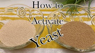 Instant Yeast vs Active Dry Yeast  How to Activate Yeast [upl. by Esital]