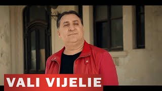 VALI VIJELIE  Decat sa plang VIDEO OFICIAL 2016 [upl. by Luanne68]