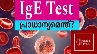 IgE Blood Test  Allergy Blood Test Malayalam [upl. by Crow297]