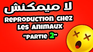 la reproduction chez les animaux 2 année college شرح الدرس partie2 [upl. by Oralia]