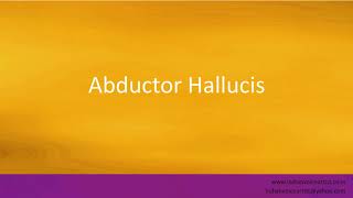 Pronunciation of the words quotAbductor Hallucisquot [upl. by Gambrill]