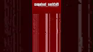 මැගලින්ගේ ශාපය 04  sinhala holman katha  සත්‍ය හොල්මන් කතාවක්  ghost story [upl. by Trotter]