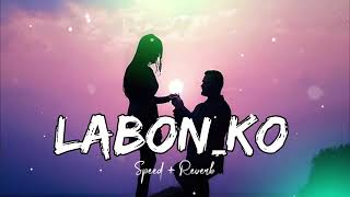 Labon Ko Speed  Reverb lofi   PritamKK  Bhool Bhulaiyaa  Romantic songs 2024  Music3412 [upl. by Rawdin]