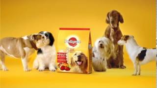 Pedigree® NEW 15sec TVC English [upl. by Asta]