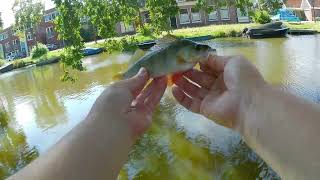 Ultralight en Micro fishing [upl. by Lesko]