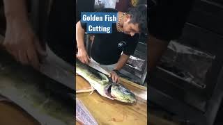 Cortando La Pesca del Día  PEZ DORADO Grande para Sushi [upl. by Virgil]