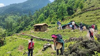 Nepali Village Life  Very Hardworking But Happy Life  Rural Life in Nepal  Village Life Nepal [upl. by Aseeral]