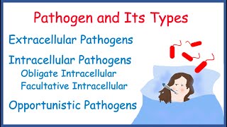 Pathogen  Types of Pathogen  Extracellular  Intracellular  Opportunistic  Examples [upl. by Nandor]