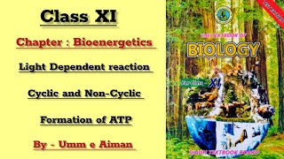 Light Dependent reaction  Formation of ATP Chapter Bioenergetics Sindh board By Umme Aiman [upl. by Shadow]