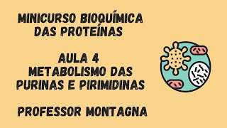 AULA 4  MINI CURSO BIOQUÍMICA DAS PROTEÍNAS  PURINAS E PIRIMIDINAS PROFESSOR MONTAGNA [upl. by Oidgime]