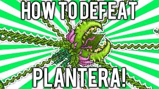 Terraria 12 How to Defeat Plantera UPDATED EASY SOLO GUIDE  TUTORIAL demizegg [upl. by Mosenthal]