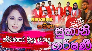 Hambanthota Muhudu werale  හම්බන්තොට මුහුදු  Subhani harshani Bandaragama Reverb  Live show [upl. by Anahsit]