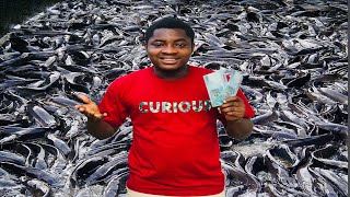 He Started Catfish Farming with Ghc 20035 Right After National Service in Ghana  Lartman Farms [upl. by Lleuqram]