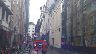 Feuerwehr befreit Taube aus Balkonnetz in Bonner Zentrum am 290923 [upl. by Conti]