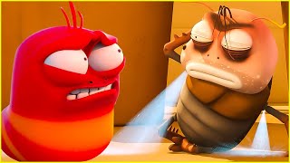 Larva Animation New Episodes 2025  Stink   Best Cartoons 2025  Comics  Cartoon Compilation [upl. by Ordnassela]