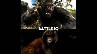 Gorilla Vs Orangutan [upl. by Arvonio]