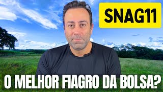 SNAG11  FIAGRO caindo VALE a PENA Investir [upl. by Livi]