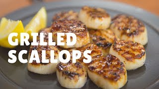 How to make Grilled Scallops updated 2017 [upl. by Zelten723]