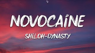 Shiloh Dynasty  Novocaine Lyrics [upl. by Ramses]