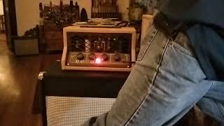 Electromuse 46A Amp [upl. by Towny]