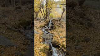 Autumns Vibes ❤️ Stak Valley Skardu North Pakistan🇵🇰 [upl. by Bronnie]