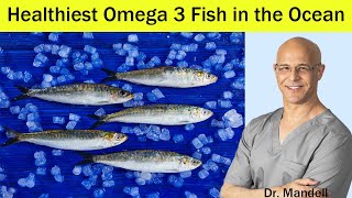 Heart HealthyPrevent Clogged ArteriesBEST Omega 3 Fish in the Ocean  Dr Mandell [upl. by Refotsirhc570]