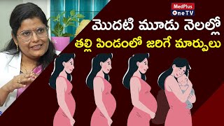 Pregnancy Trimesters Fetal Changes and Safety Tips  DrKSarala MedPlusONETV [upl. by Shamrao]