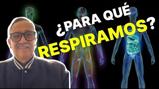 9 ALIMENTOS PARA UNA MEJOR SALUD PULMONAR │Salud y Ciclismo [upl. by Borek]