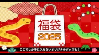 しまむら2025年福袋コレクション 買い物の楽しみと驚きのアドレス [upl. by Korten]