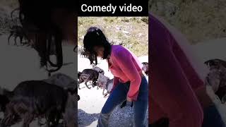 funny video 🤣🤣🤣 [upl. by Reginald904]