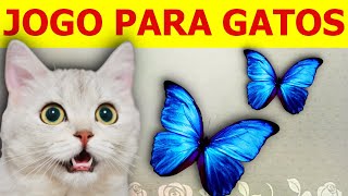 Jogo Para Gato  Borboleta Na Tela Super Divertido 🦋 [upl. by Ripp717]