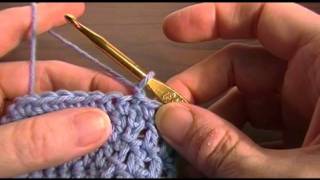 Crochet a Can amp Bottle Cozy [upl. by Berri]