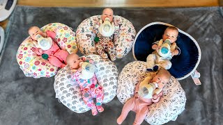 How We Feed Five Babies  Freels Quintuplets  Goat Milk Formula Our 27 Week Preemies Are Thriving [upl. by Scheck]