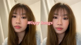 How I cut my Wispy bangs ROUND FACE  Blonde to brown [upl. by Rengia]