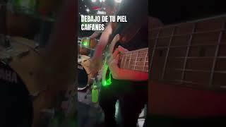 Debajo de tu Piel  Caifanes  Guitar POV Cover Band [upl. by Nhtanhoj631]