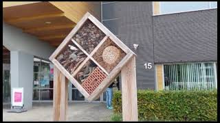 Gully free pavement and insect hotel Inholland Haarlem 2024 [upl. by Hanima]