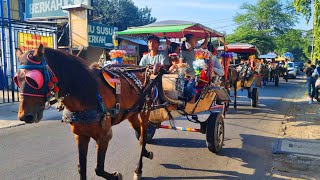 NAIK KUDA DELMAN ISTIMEWA KU DUDUK DIMUKA  WHEELS ON THE BUS COCOMELON VERSI OLD MACDONALD SONG [upl. by Magen]