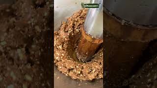 Almond Oil making  badam wood press oil  cold pressed oil  wooden cold pressed  cold press oil [upl. by Skvorak]