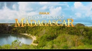 DreamWorks Madagascar  I Like To Move It The Best of King Julien  Madagascar Movie Clip [upl. by Ennairek]