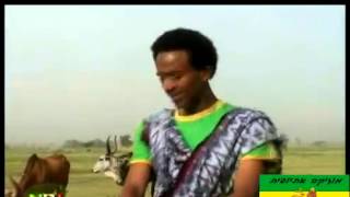 Melaku Nigus track 4 2013 New Ethiopian music Rayan Music Wollo Music Ethiopian Music [upl. by Cinomod]