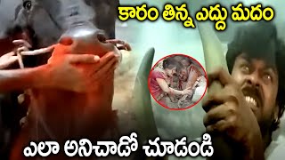 Chiranjeevi Interesting Bull Fight Scene  Latest Super Hit Mind Blowing Fight Scene  iDream [upl. by Forland]