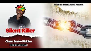 Silent Killer  Ndini Ndirikurira pt 1Official Audio [upl. by Gatias576]