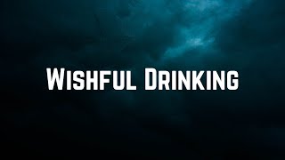 Ingrid Andress amp Sam Hunt  Wishful Drinking Lyrics [upl. by Neelra]