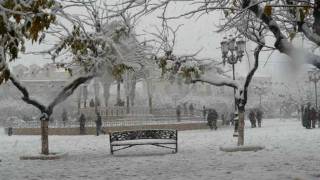 BLIDA SOUS LA NEIGEwmv [upl. by Chuck]