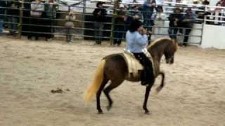 Joan Sebastian y su Caballo Güero [upl. by Laersi]