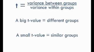 StatsCast What is a ttest [upl. by Colston]