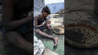 Sparkling Electric stones Crackers 🎇 diwali diwalicrackers sivakasi festival fireworks [upl. by Alison]